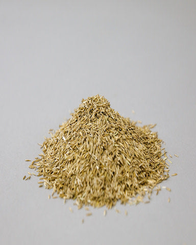 Grass Seed - Tall Fescue/Rye Mix