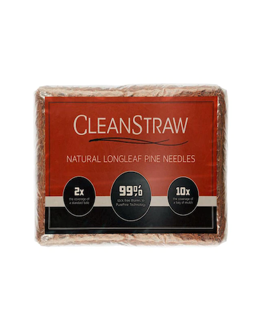 Pine Needles |  Cleanstraw